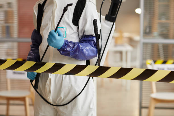 Professional Hoarding Cleanup technician working in Nixon, TX